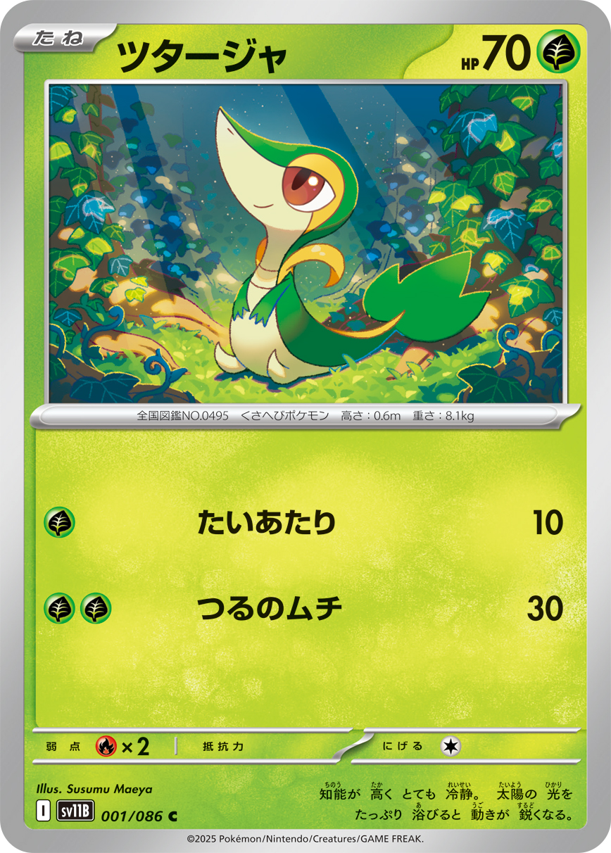 sv11B_001