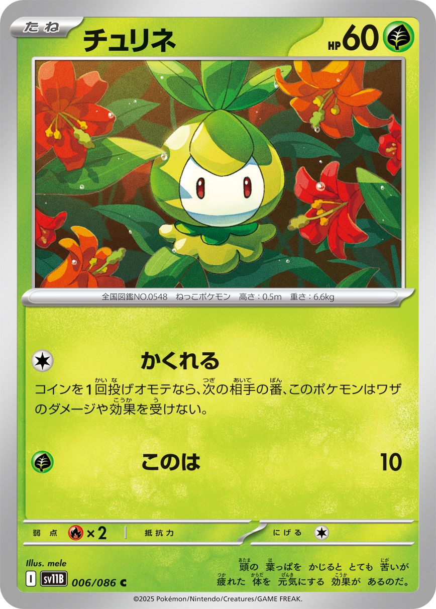 sv11B_006