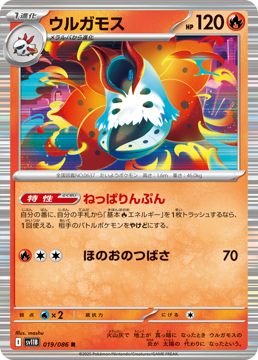 sv11B_019