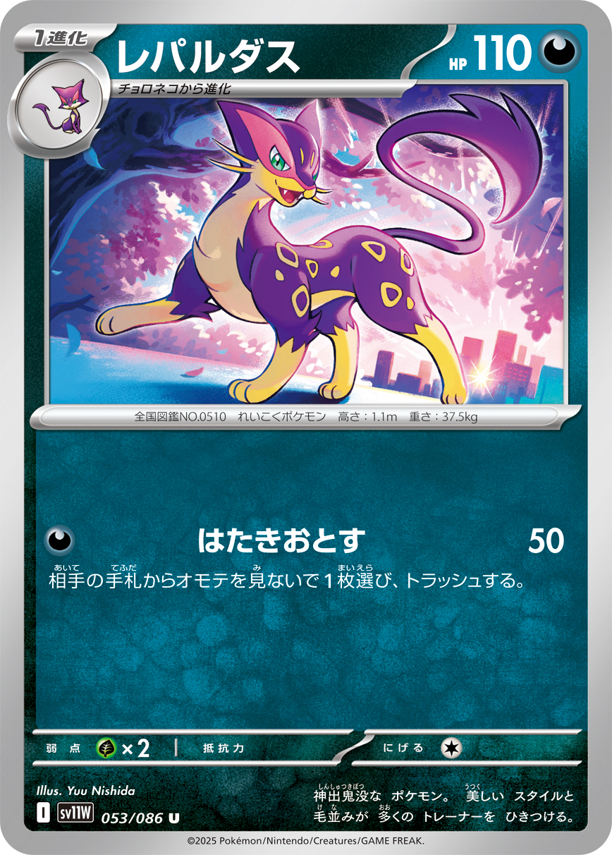 sv11W_053MA