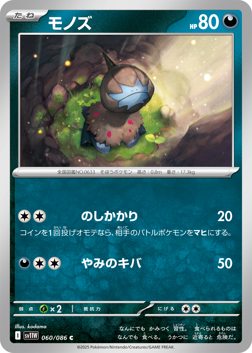 sv11W_060
