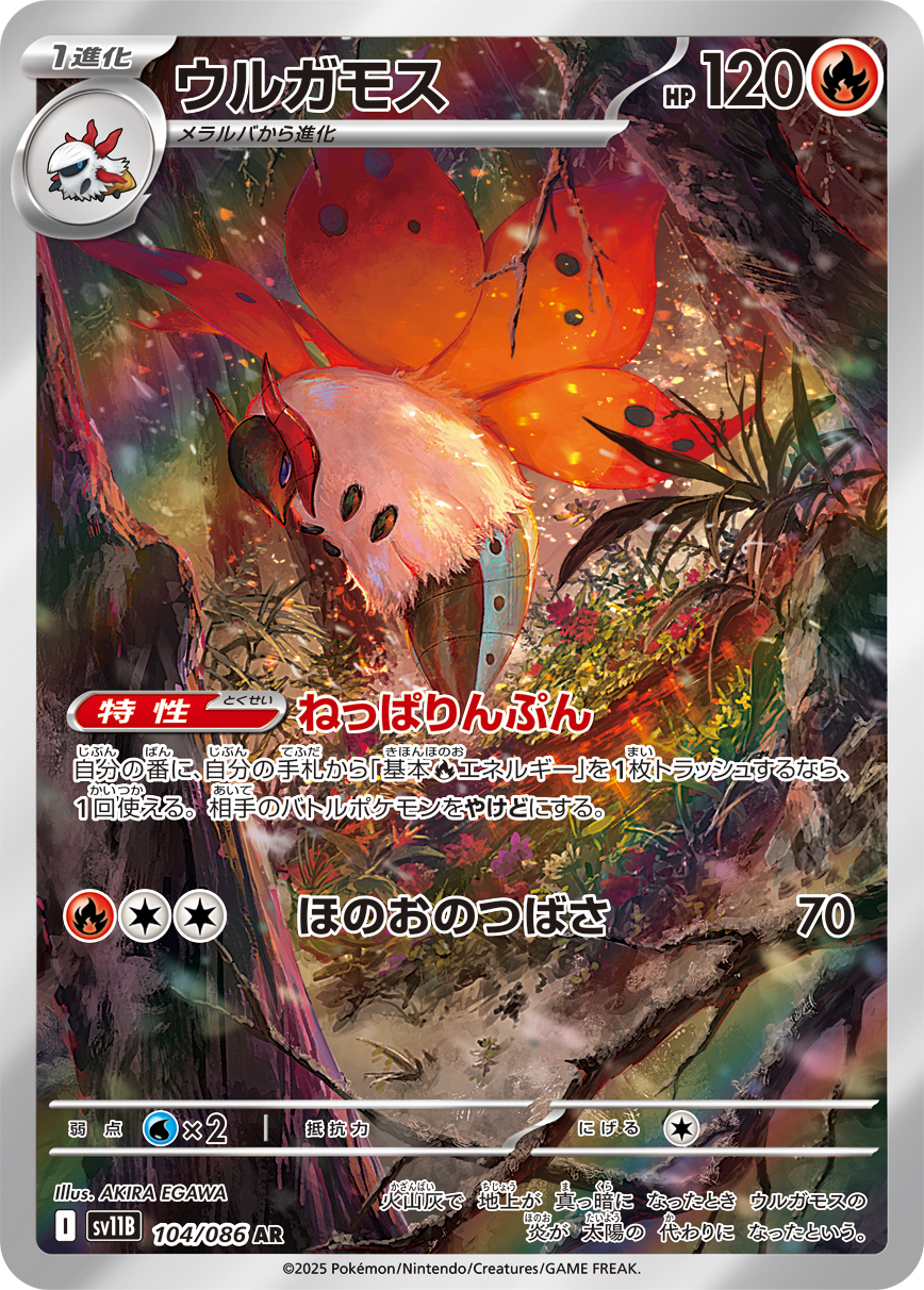 sv11B_104