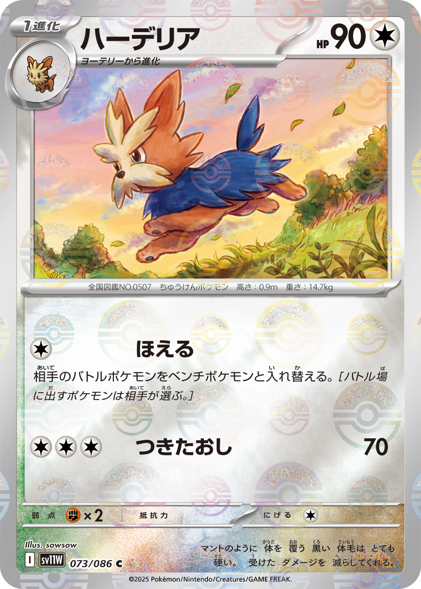sv11W_073M