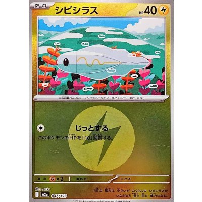 シビシラス[‐]【M2a】047/193